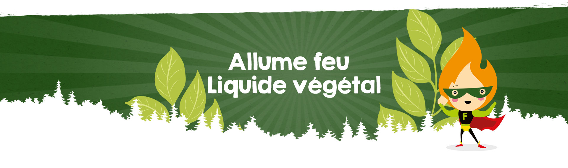 Liquide allume-feu Flam & Co en bouteille capacité 1 L