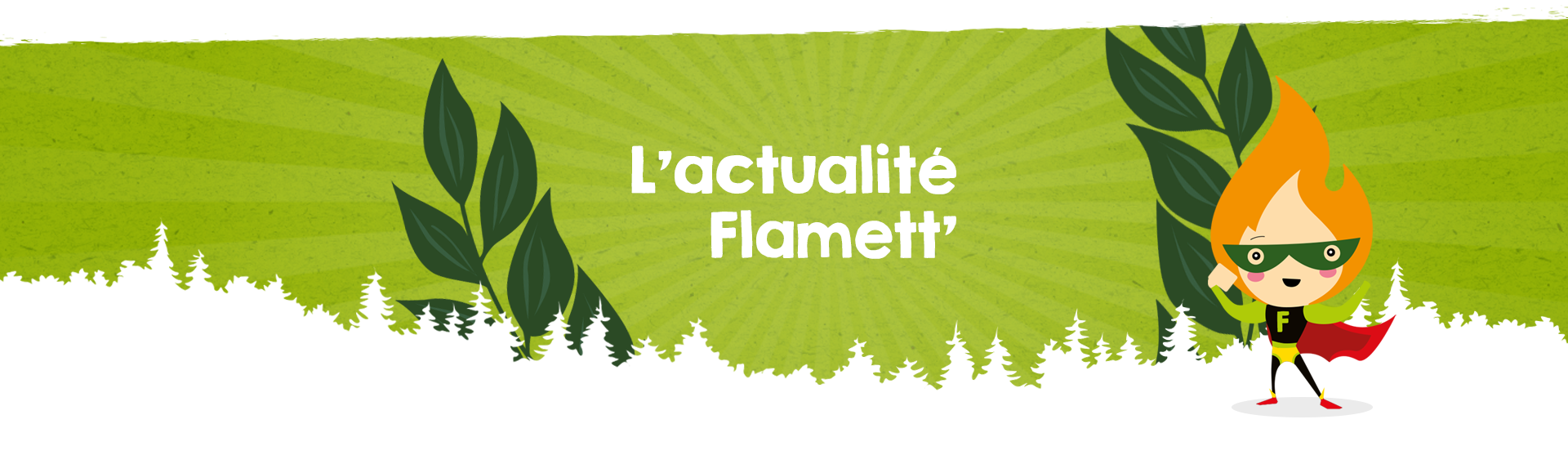 Bâtonnets allume-feu 100% naturels - C2BOIS